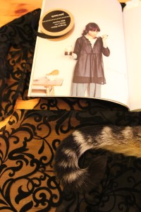 Dress G - Stylish Dress Book