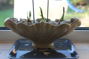 Pot Shots!  Week Deux