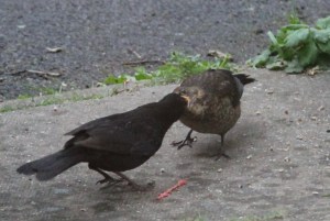 your going to have to learn to do this yourself