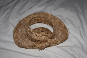 that's one saggy crown