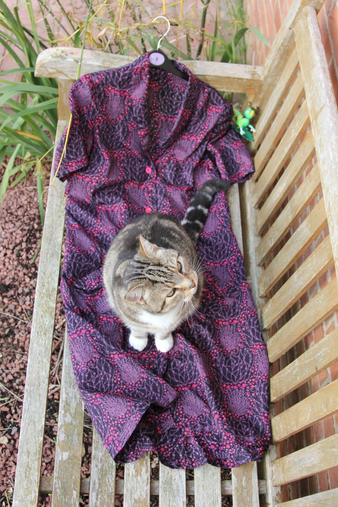 Yes, I know there's a cat on it.